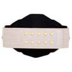 WWE NXT Women’s Championship 2024 Replica Title Belt