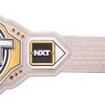 WWE NXT Women’s Championship 2024 Replica Title Belt