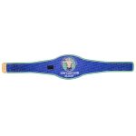 John Cena Farewell Tour 2025 Dallas Spinner Championship Replica Title Belt